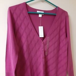 Ann Taylor Loft Sweater